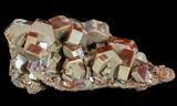 Large Red & Brown Vanadinite Crystals - Morocco #51276-1